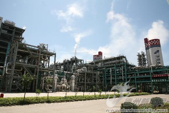 山东华鲁恒升集团有限公司清洁生产设施。
